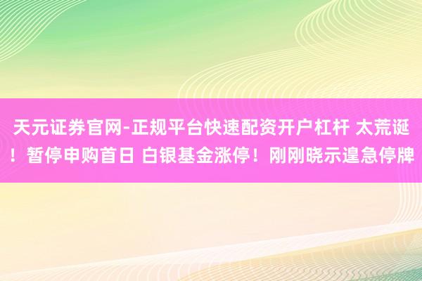 天元证券官网-正规平台快速配资开户杠杆 太荒诞！暂停申购首日 白银基金涨停！刚刚晓示遑急停牌