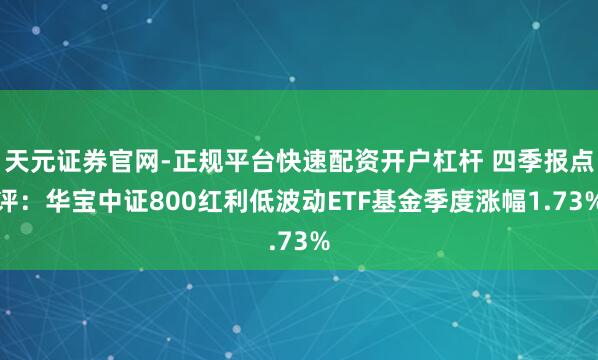 天元证券官网-正规平台快速配资开户杠杆 四季报点评：华宝中证800红利低波动ETF基金季度涨幅1.73%