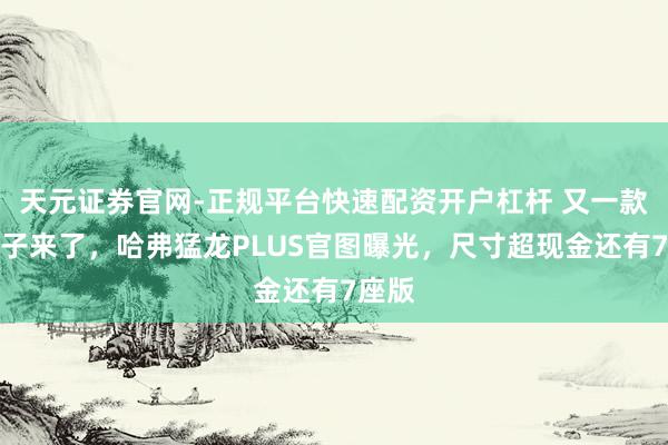 天元证券官网-正规平台快速配资开户杠杆 又一款方盒子来了，哈弗猛龙PLUS官图曝光，尺寸超现金还有7座版
