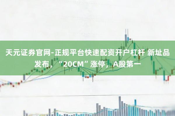 天元证券官网-正规平台快速配资开户杠杆 新址品发布，“20CM”涨停，A股第一