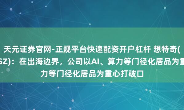 天元证券官网-正规平台快速配资开户杠杆 想特奇(300608.SZ)：在出海边界，公司以AI、算力等门径化居品为重心打破口