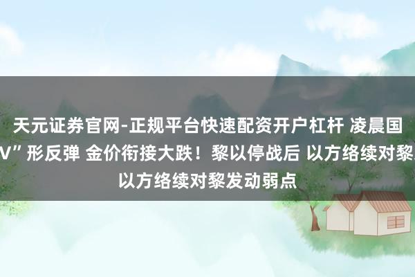 天元证券官网-正规平台快速配资开户杠杆 凌晨国外油价“V”形反弹 金价衔接大跌！黎以停战后 以方络续对黎发动弱点