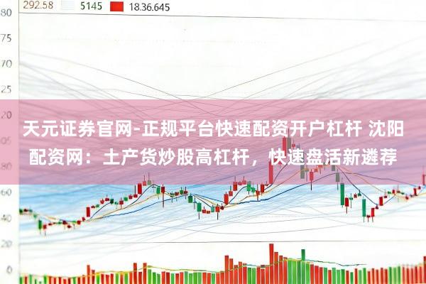 天元证券官网-正规平台快速配资开户杠杆 沈阳配资网：土产货炒股高杠杆，快速盘活新遴荐