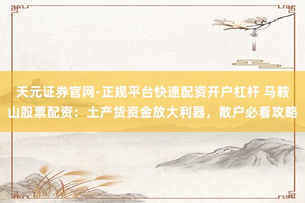 天元证券官网-正规平台快速配资开户杠杆 马鞍山股票配资：土产货资金放大利器，散户必看攻略