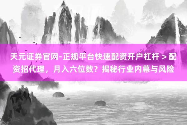 天元证券官网-正规平台快速配资开户杠杆 > 配资招代理，月入六位数？揭秘行业内幕与风险
