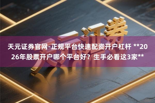 天元证券官网-正规平台快速配资开户杠杆 **2026年股票开户哪个平台好？生手必看这3家**